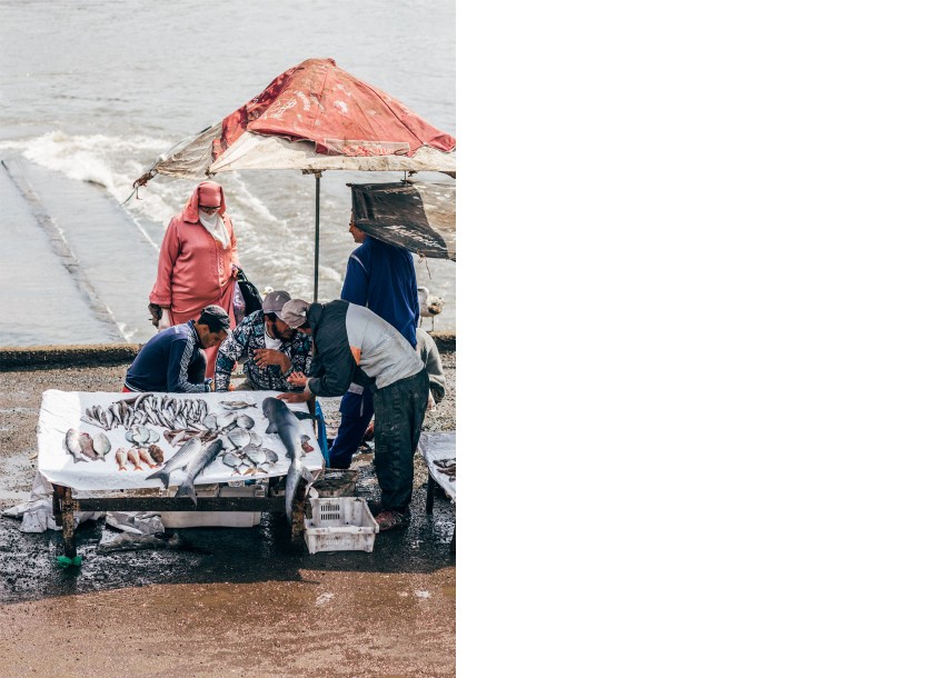 Gehört leider auch dazu, der Fischmarkt in Essauira: Es liegt ein toter Hai auf dem Tisch.