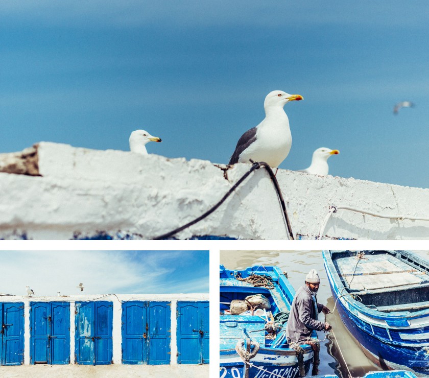 Der Hafen in Essauira ist komplett blau und weiß.
