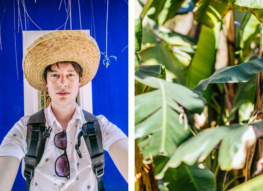 jardin_majorelle_4