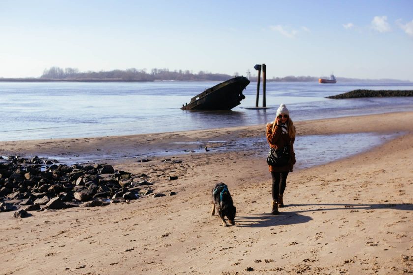 Eine Frau und ein Hund stehen am Elbstrand von Blankenese in Hamburg. Im Hintergrund ist ein Schriffswrack zusehen.